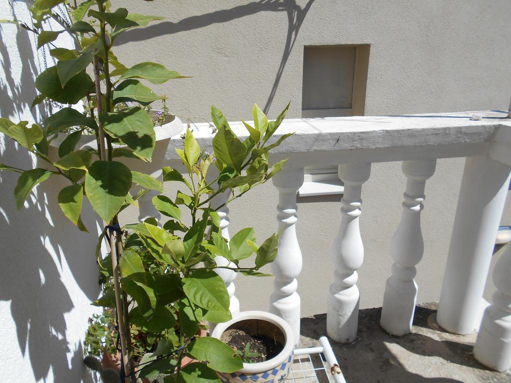 Apartments Ema Sibenik Ngoại thất bức ảnh